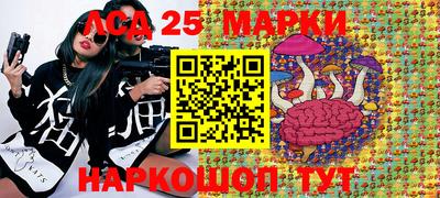 сатива Краснознаменск
