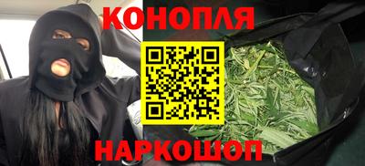 сатива Краснознаменск