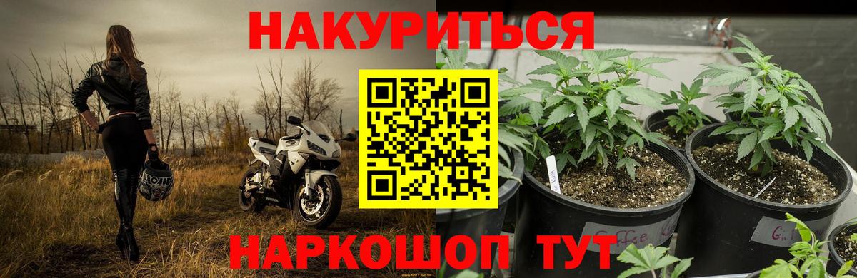 Шишки марихуана THC 21%  Бошки марихуана гибрид  Химки  Канабис индика  Вход с VPN 